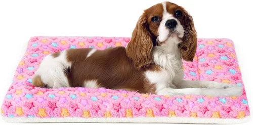 Vista 12 de Mora Pets Cama para gatos, almohadilla para jaula para perros, cama ultrasuave para mascotas con bonito estampado de estrellas, tapete lavable