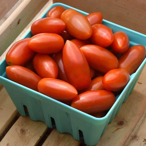 Vista 2 de Park Seed Heartbreakers Vallery - Semillas de tomate híbridas rojas – Paquete de 10 semillas, frutas agridulces en forma de corazón, sin OMG