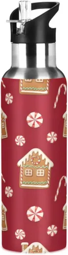 Insulated Water Bottle 20 Oz, BPA-Free Sport Water Bottle for Gym Outdoor Travel School, Gingerbread Houses