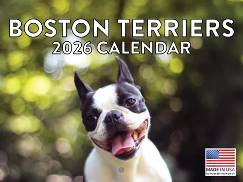 Vista 204 de Calendario de pared mensual 2025 Great Dane de 12 meses, fabricado en Estados Unidos