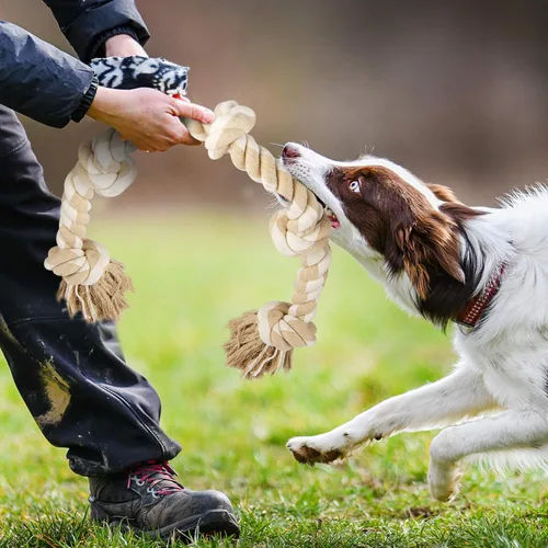 Vista 8 de Fida Juguetes de cuerda para perros para masticadores agresivos, juguete grande para perros diseñado para tira y afloja, juguete de cuerda Mango
