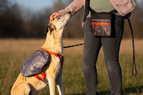 Vista 6 de iEnergy™ ELI - Bolsa para cinturón: accesorio ideal para entrenamiento de perros, cinturón manos libres para pasear perros con bolsa para golosinas