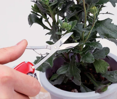 Vista 2 de Victorinox Swiss Army Climber - Navaja de bolsillo