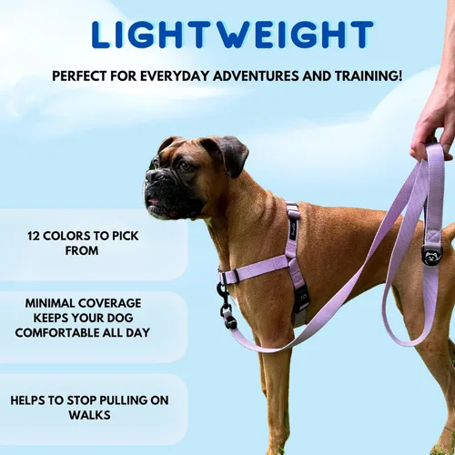 Vista 5 de ShawnCo Dream Walk - Arnés para perro sin tirones, ajustable, cómodo, fácil de usar, para ayudar a dejar de tirar, para perros pequeños, medianos