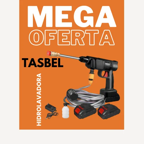 HIDROLAVADORA CON DOS BATERIAS