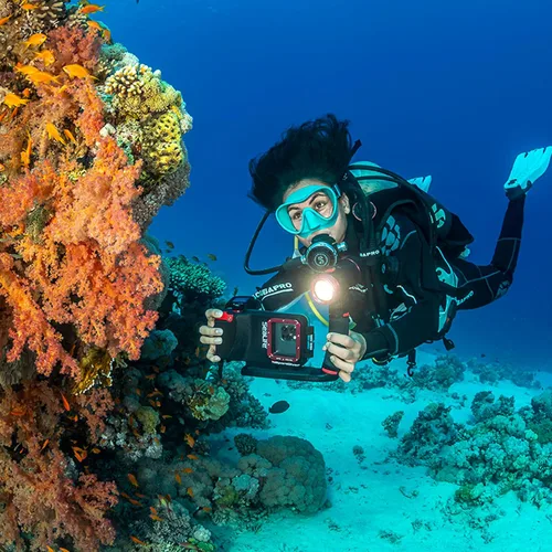 Vista 9 de Funda de buceo para smartphone submarino SeaLife y dragón marino de 2500 lúmenes de luz impermeable
