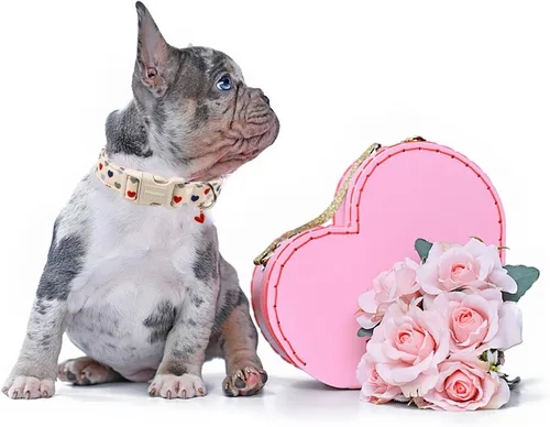 Vista 5 de DOGWONG Collar de perro de San Valentín, collar de perro con estampado de corazones para perros grandes, lindos collares de primavera, hembra