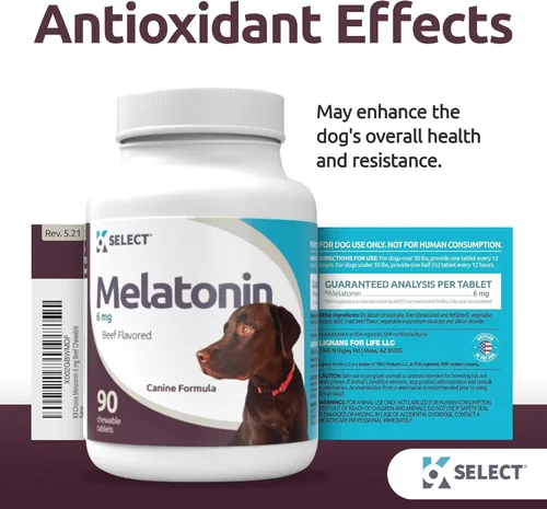 Vista 3 de K9 Select Melatonina para perros 6 mg, 90 comprimidos masticables con sabor a carne Melatonina para razas de perros pequeños a grandes Momentos