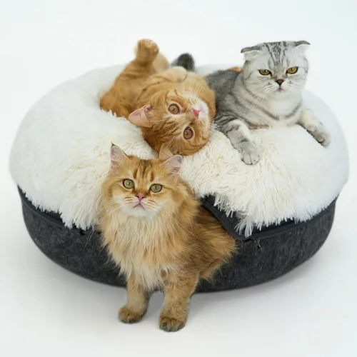 Vista 26 de Cattasaurus Peekaboo - Cueva para gatos, extra espaciosa para múltiples y grandes gatos de más de 12 libras, camas desmontables para gatos