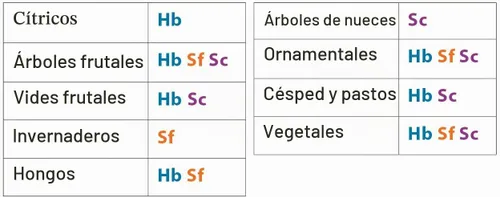 Vista 7 de Nematodos beneficiosos vivos SF