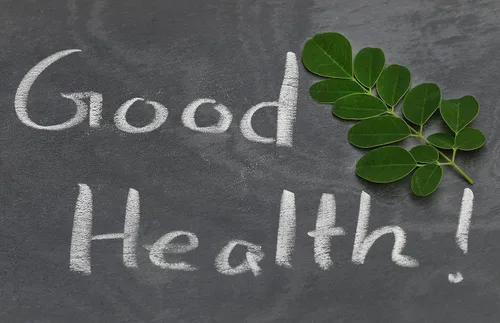 Vista 9 de Semillas de moringa de 2 libras KERNEL sin cáscara limpias, 100% naturales, crudas superalimentos nutricionales, ricas en vitaminas, semillas