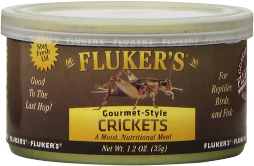 Vista 17 de Fluker's Alimento enlatado gourmet para reptiles, peces, pájaros y animales pequeños, cucarachas pequeñas Dubia, 1.2 oz