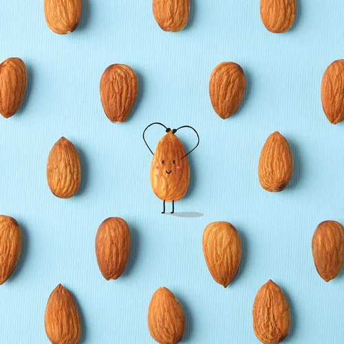 Vista 2 de Yupik Almendras tostadas sin sal, 2.2 libras (35.2 onzas), sin gluten, kosher, veganas, nueces enteras, sin sal añadida, ligeramente tostadas