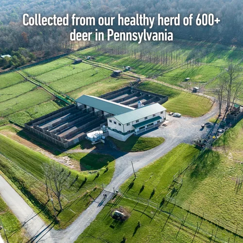 Vista 5 de Raspa la orina de ciervo de rabia Doe Pee para ciervos de cola blanca Drag N' Drip incluido Aromas y atractivos de ciervos