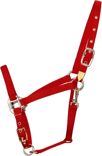 Vista 3 de Hamilton Caballo árabe de nailon de 3/4 pulgadas con barbilla ajustable y broche de garganta, promedio, 800 a 1100 libras, negro
