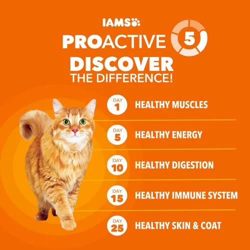 Vista 3 de IAMS Proactive Health Alimento seco saludable para gatos adultos con pollo, bolsa de 22 libras