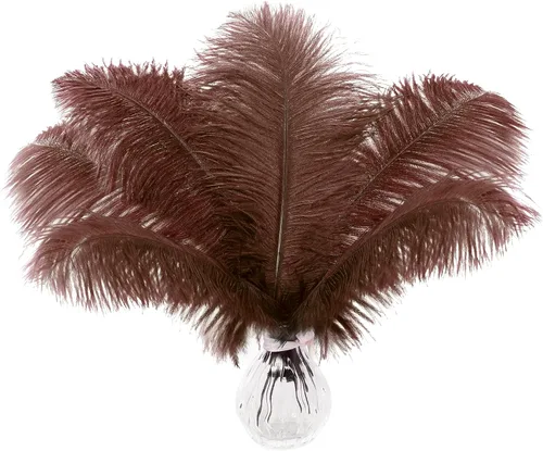 Vista 44 de Soarer Plumas de avestruz beige a granel, 30 piezas de 8 a 10 pulgadas para centros de mesa de boda, decoración del hogar y manualidades (beige)