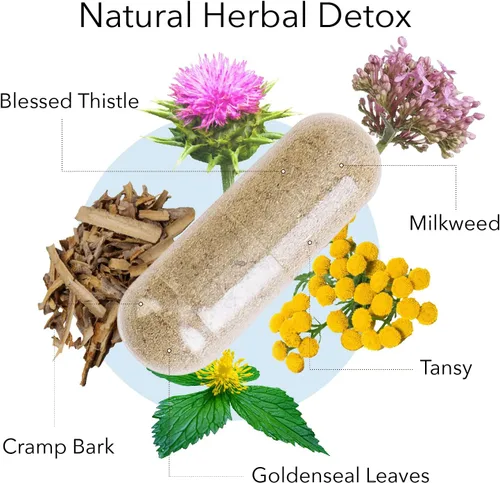 Vista 2 de Kroeger Herb Products, Fórmula Candida #2, soporte de limpieza, desintoxicación para la limpieza natural de Candida, ayuda a la salud intestinal