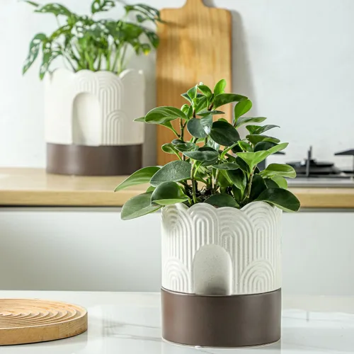 Vista 4 de Nihow Maceta de riego automático: maceta de cerámica de 6 pulgadas con orificio de drenaje y almacenamiento de agua, maceta de riego automático