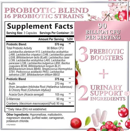Vista 2 de Probióticos para mujeres, apoyo a la salud digestiva – 16 cepas de probióticos vaginales para mujer con prebióticos, arándano, PH, apoyo
