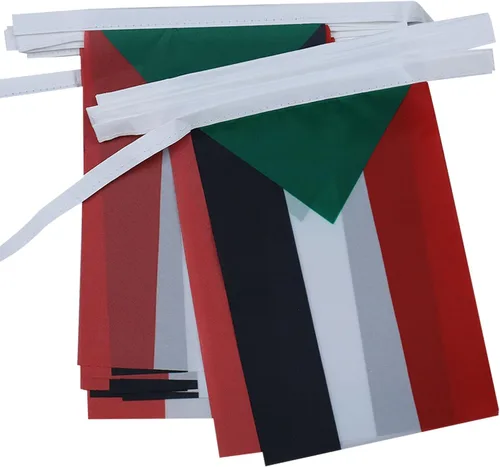 Vista 43 de Guatemala 19.7 ft BUNTING Flag 20 banderas 9'' x 6'' - Banderas de cuerda guatemalteca 5.9 x 8.3 in - AZ FLAG