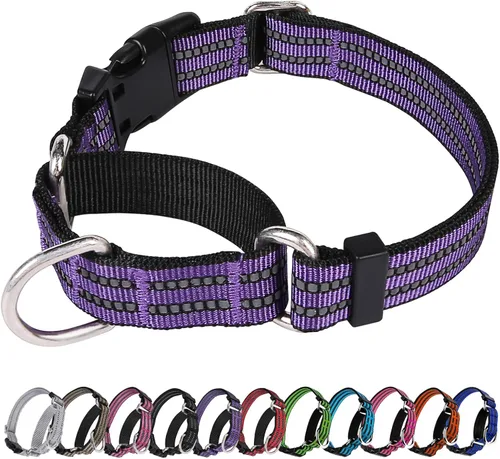 Vista 41 de Martingale - Collar para perro, collar reflectante ajustable de nailon con hebilla de liberación rápida (verde manzana, talla S)