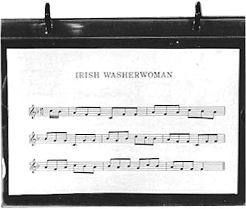 Carpeta Flip de 20 páginas