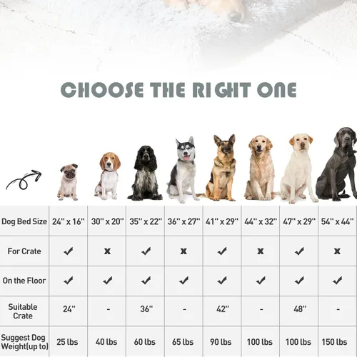 Vista 5 de MIHIKK Camas ortopédicas para perros medianos, cama ortopédica de espuma para perros con funda extraíble lavable, colchón impermeable para perro