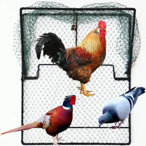 Vista 7 de Trampa para pájaros de paloma, codorniz, gorrión, resorte, estornino, red de captura de trampas para atrapar