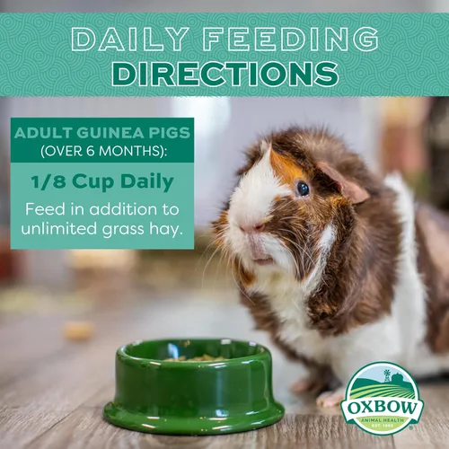 Vista 4 de Alimento para conejillos de indias Oxbow Essentials, para conejillo de indias adulto, hecho con heno timothy Oxbow, pellets de comida para mascotas