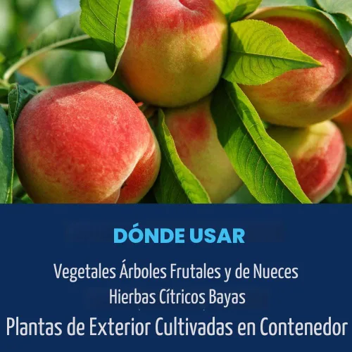 Vista 5 de BioAdvanced Organics Brand - Aerosol para insectos para tomate, verduras y plantas frutales, listo para usar, 24 onzas