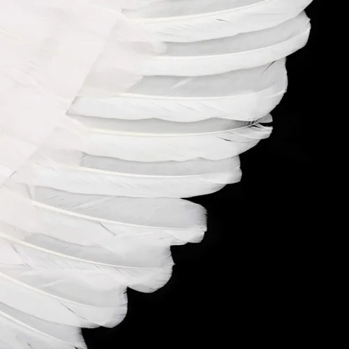Vista 8 de Angel Feather Wing for Women Halloween Party Costume Accessory