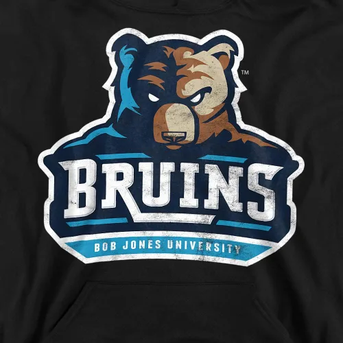 Vista 2 de LOGOVISION Sudadera con capucha oficial de Bob Jones University con logotipo primario envejecido para niños y niñas