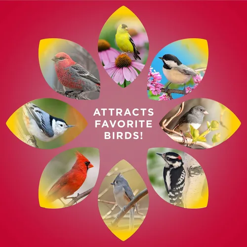 Vista 6 de Audubon Park Cardinal Blend - Alimento para pájaros silvestres, semillas de pájaro cardenal para comederos exteriores, bolsa de 4 libras