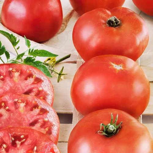 Vista 3 de Bonnie Plants Tomate rojo beefsteak 19.3 oz. paquete de 4