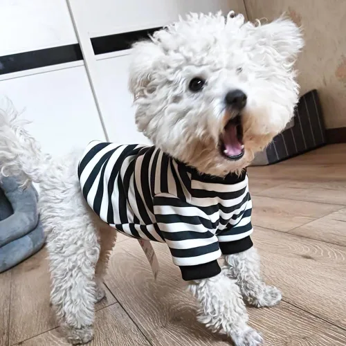 Vista 2 de Sudaderas con capucha para perro con anillo para correa, camisa cálida a rayas para perros pequeños, hembras, niños, gatos, suéter de invierno