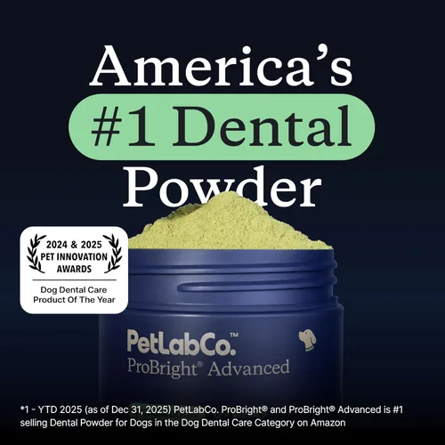 Vista 12 de PetLab Co. ProBright Advanced Dental Powder - Ambientador de aliento para perros - Limpieza de dientes hecha fácil - Combate el sarro y el mal
