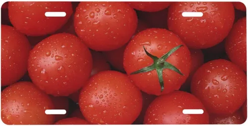 Vista 11 de Placa de Matrícula de Aluminio Águila Brújula Montaña Bosque Luna Nubes 6 x 12 Pulgadas Placa de Matrícula Frontal de Metal para Automóvil Cubierta