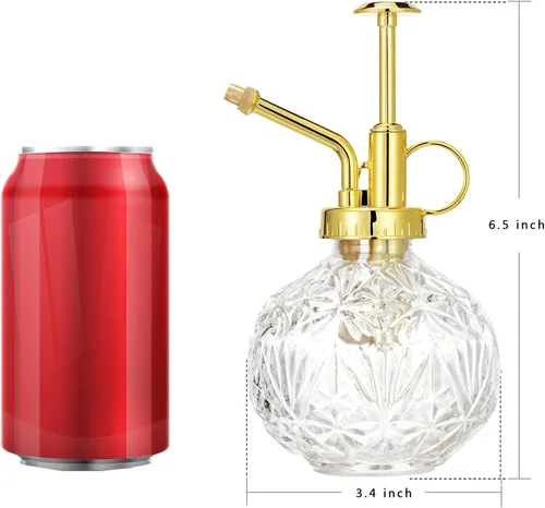 Vista 2 de Botella rociadora de agua Mister para plantas de vidrio, botella de riego para suculentas con bomba superior de plástico, capacidad de 6.8 fl oz