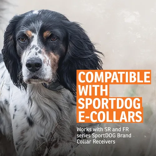 Vista 4 de SportDOG NoBark SBC-8 - Collar ligero de corrección progresiva de ladridos - Ayuda a desalentar los ladridos molestos - Múltiples niveles