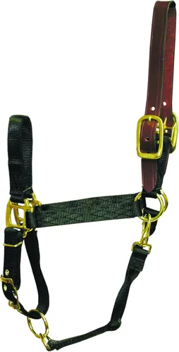Hamilton Cabestro ajustable de nailon de 1 pulgada con cabeza de cuero y broche de garganta, grande, negro