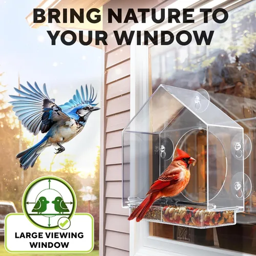 Vista 6 de Premium Window Bird Feeder for Outside - Clear Bird House w/Largest Window for Viewing Birds - Easy to Install & Sturdy Feeder w/Extra Strong