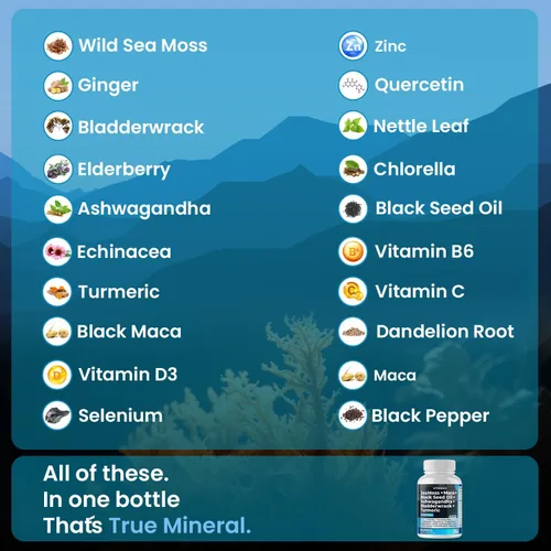 Vista 3 de Aceite de semilla negra de musgo marino Ashwagandha Bladderwrack cúrcuma – Miel de Manuka, saúco, vitamina C y D3, diente de león y pimienta negra