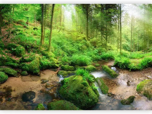 Vista 10 de artgeist Mural de pared Bosque, 77 x 55 pulgadas, papel tapiz autoadhesivo XXL, autoadhesivo, extraíble, gran adhesivo, decoración de pared, diseño