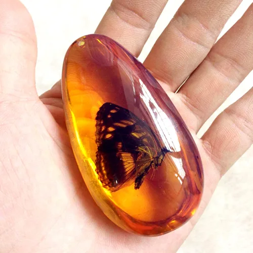 Vista 3 de 8 piezas de especímenes de insectos reales en resina de color ámbar, kit de colección de insectos de educación científica, colgante ovalado