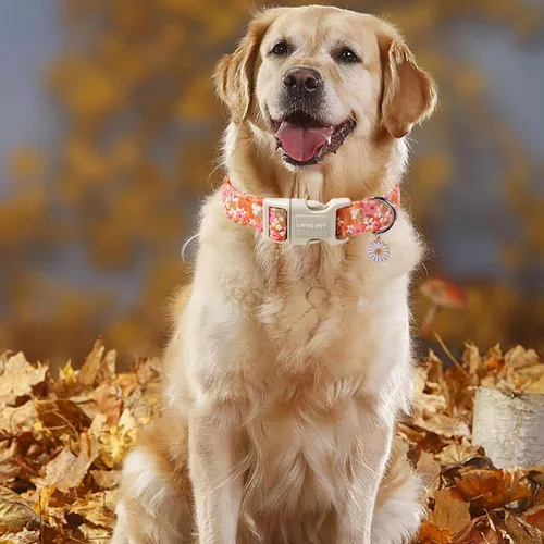 Vista 175 de Aring Pet Collar de algodón, ligero y ajustable, con hebilla de liberación rápida para perros pequeños, medianos y grandes, para cachorros, XS