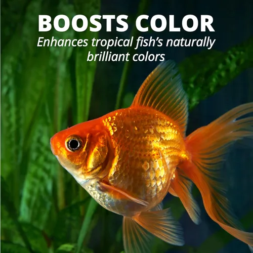 Vista 11 de Tetra Goldfish Flakes, dieta nutricionalmente equilibrada para peces de acuario, copos enriquecidos con vitamina C, 0.42 onzas