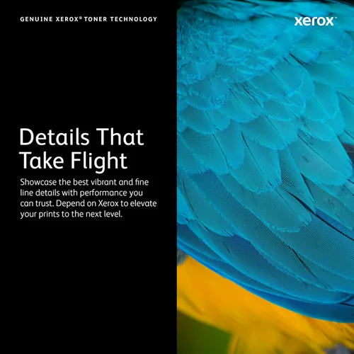 Vista 3 de Xerox VersaLink C400/C405 - Cartucho de tóner negro de capacidad extra alta (10,500 páginas) - 106R03524