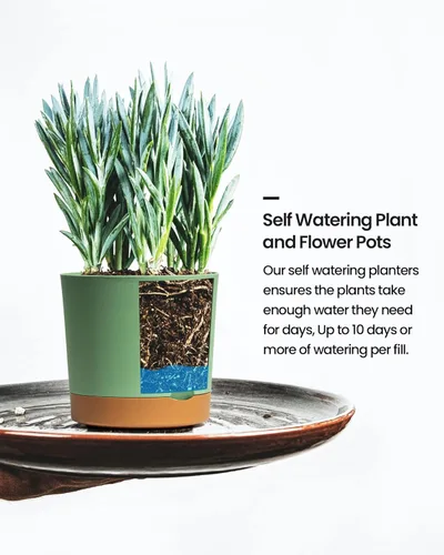 Vista 7 de Bevgems Paquete de 6 macetas de 6.5 pulgadas, macetas de plástico de riego automático con agujeros de drenaje y platillos, maceta decorativa moderna