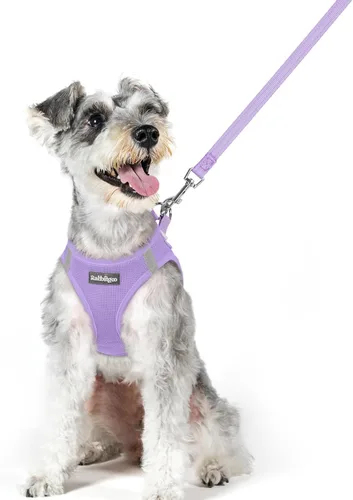 Vista 97 de rabbitgoo Juego de arnés para perro, tamaño pequeño y correa, chaleco ligero suave para cachorro, arnés de malla transpirable para mascotas, Negro